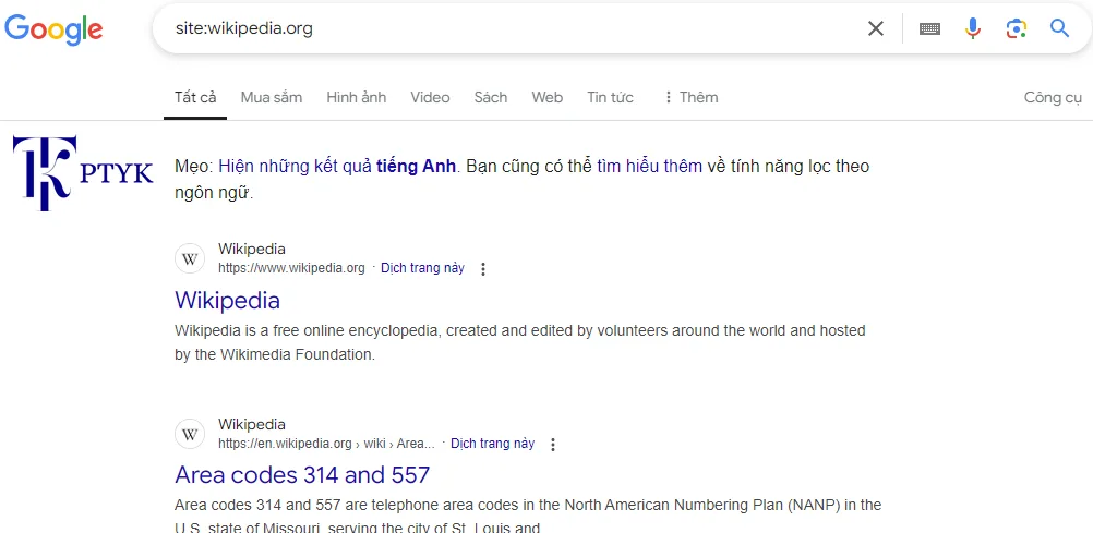 Cách kiểm tra trang web bạn có xuất hiện trên Google không?
