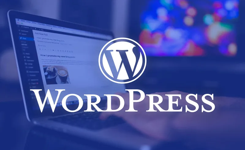 Nhược điểm WordPress là gì?